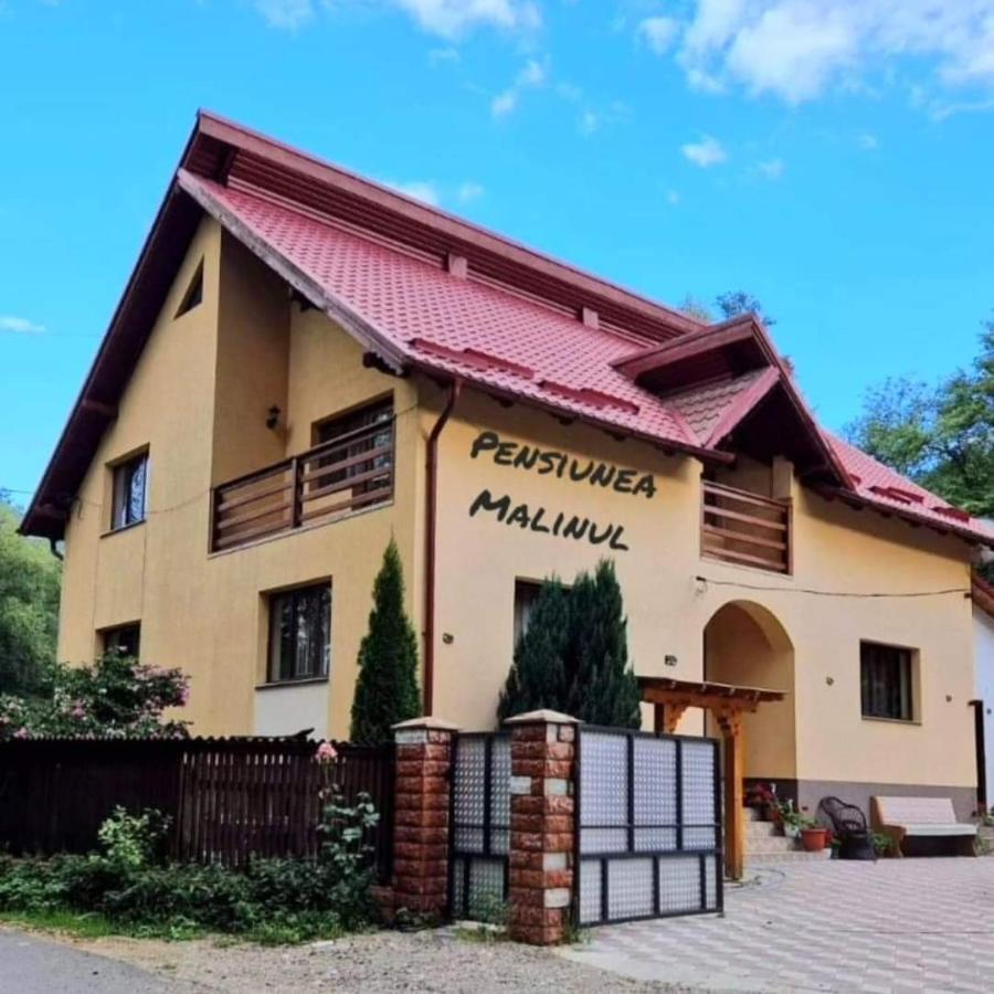 Pensiunea Malinul Bîrsana Extérieur photo